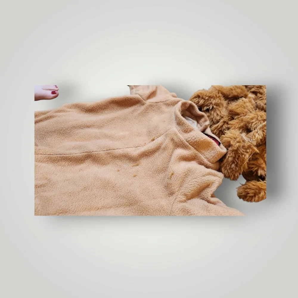 Incharacter Lion infant baby Halloween Costume S 6-12 Months